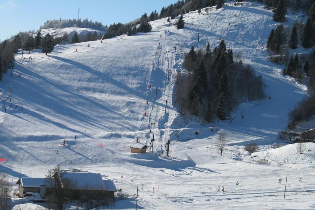 Chalet Le De Saute / Au Pieds Des Pistes, Sauna Et Vue Imprenable Sur Les Montagnes ! Bussang